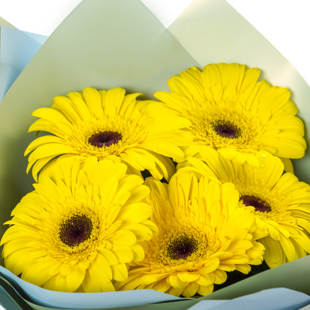 Яркий букет из 5 жёлтых гербер – как кусочек солнца в ваших руках Феодосия Крым