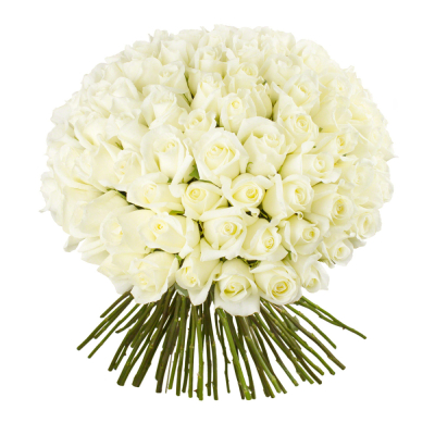 Роскошный букет из 101 белой розы – воплощение бесконечной любви Феодосия Крым