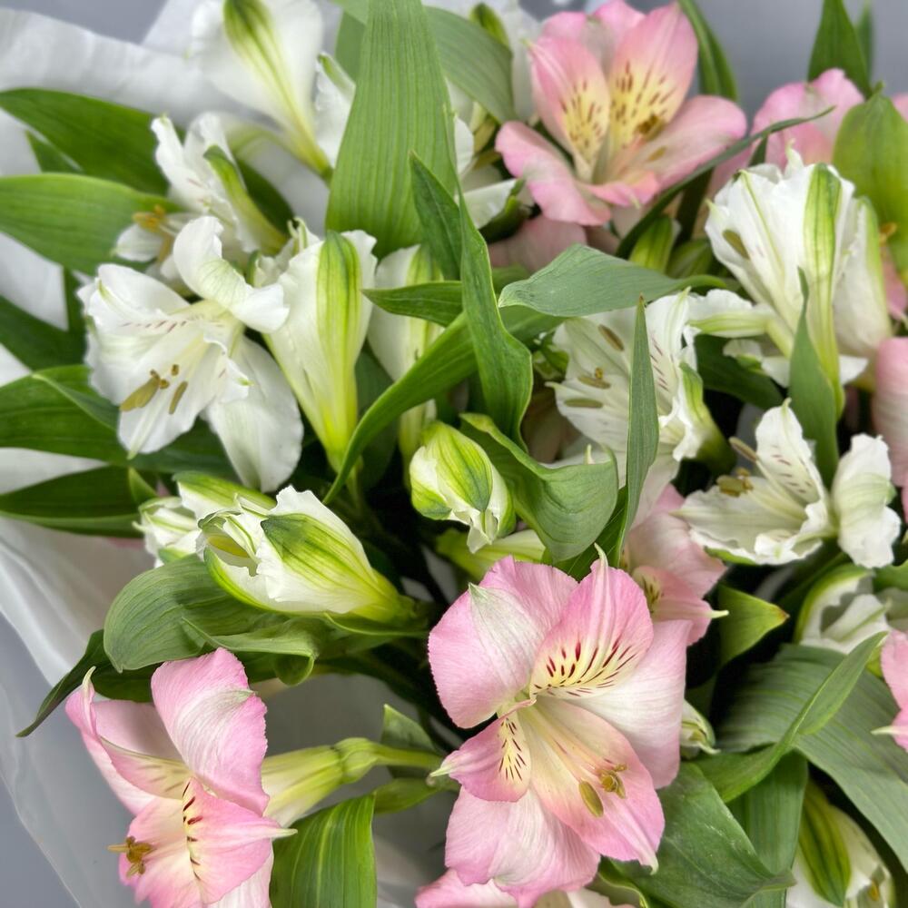 Букет «Нежность» – трогательное сочетание белых и розовых альстромерий Феодосия Крым