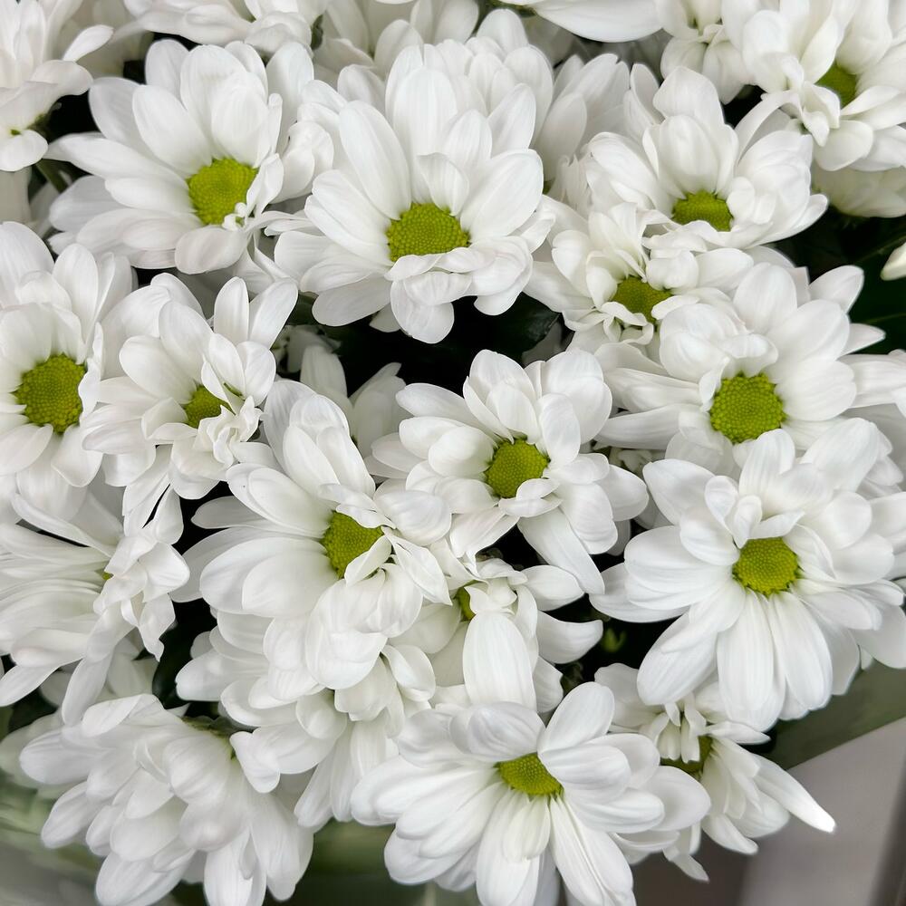 Букет «Мечты о лете» – свежесть белых хризантем Феодосия Крым