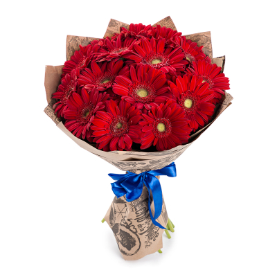 Яркий букет из 15 красных гербер – воплощение страсти и жизнерадостности Феодосия Крым