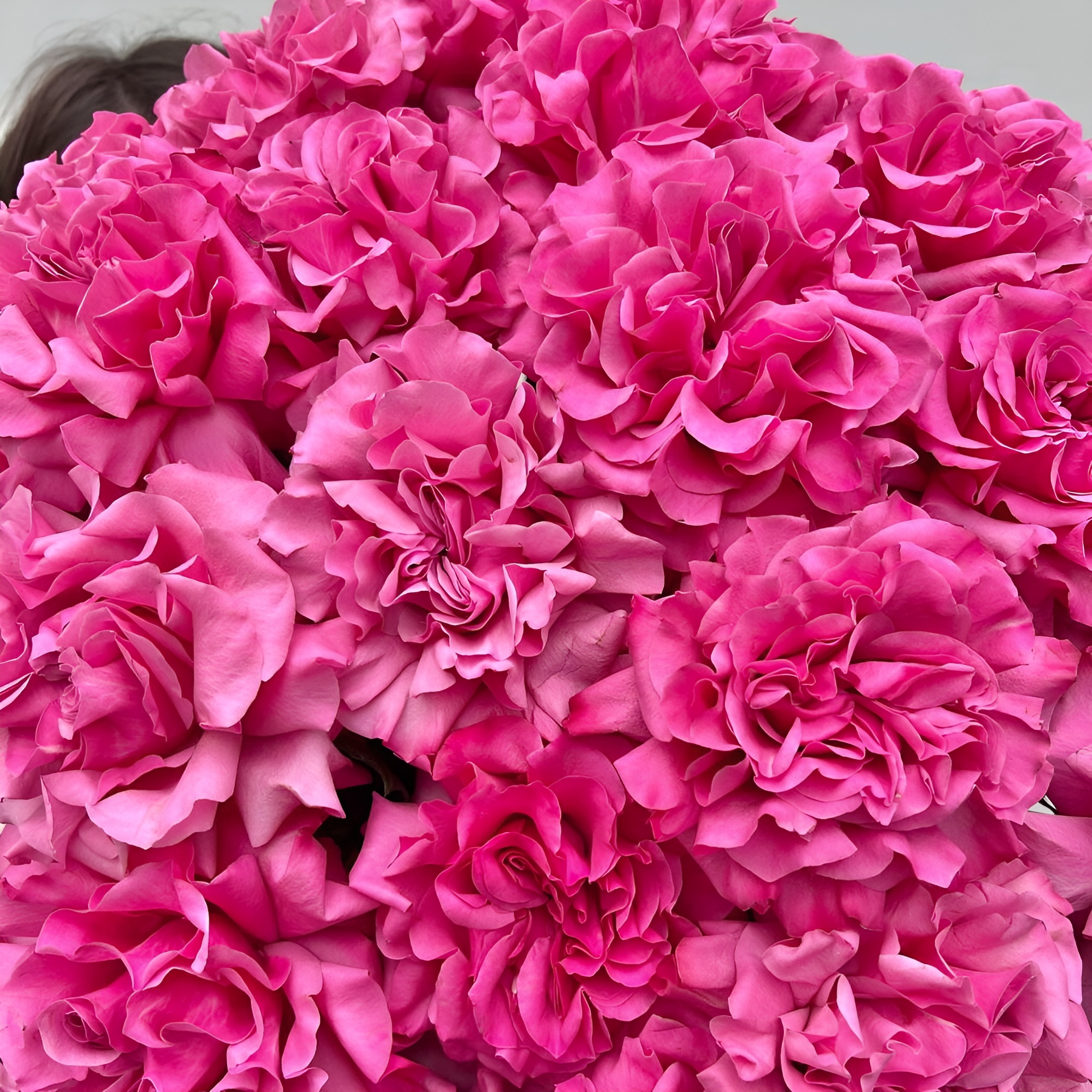 Роскошный букет из пионовидных роз – королевский подарок Феодосия Крым