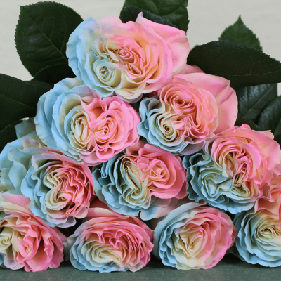 Яркий букет из 5 разноцветных роз – праздник в каждом лепестке