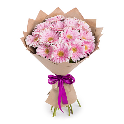 Нежный букет из 15 розовых гербер – воплощение трогательных чувств Феодосия Крым