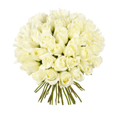 Роскошный букет из 51 белой розы – символ безграничной преданности Феодосия Крым
