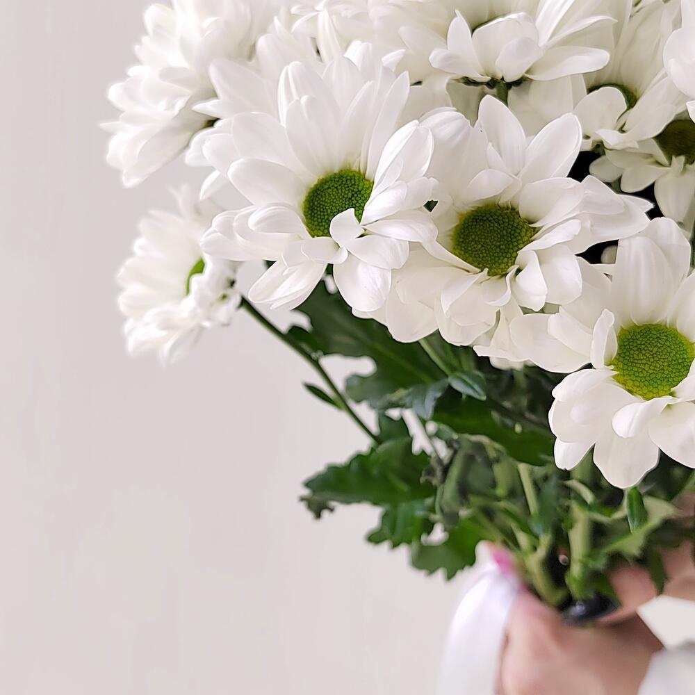 Букет «Ромашка» – 9 белоснежных хризантем в деревенском стиле Феодосия Крым