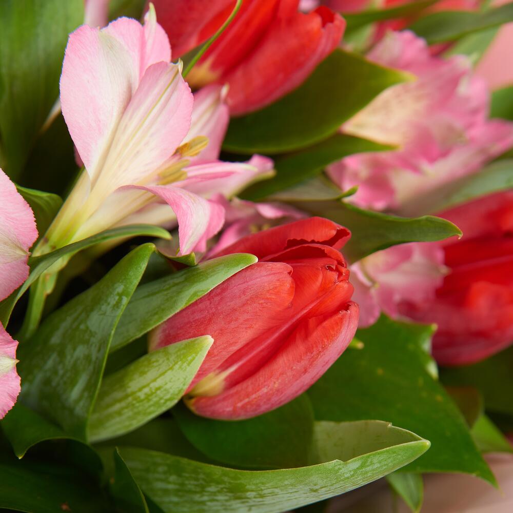 Букет «Первый поцелуй» красных тюльпанов и розовых альстромерий Феодосия Крым