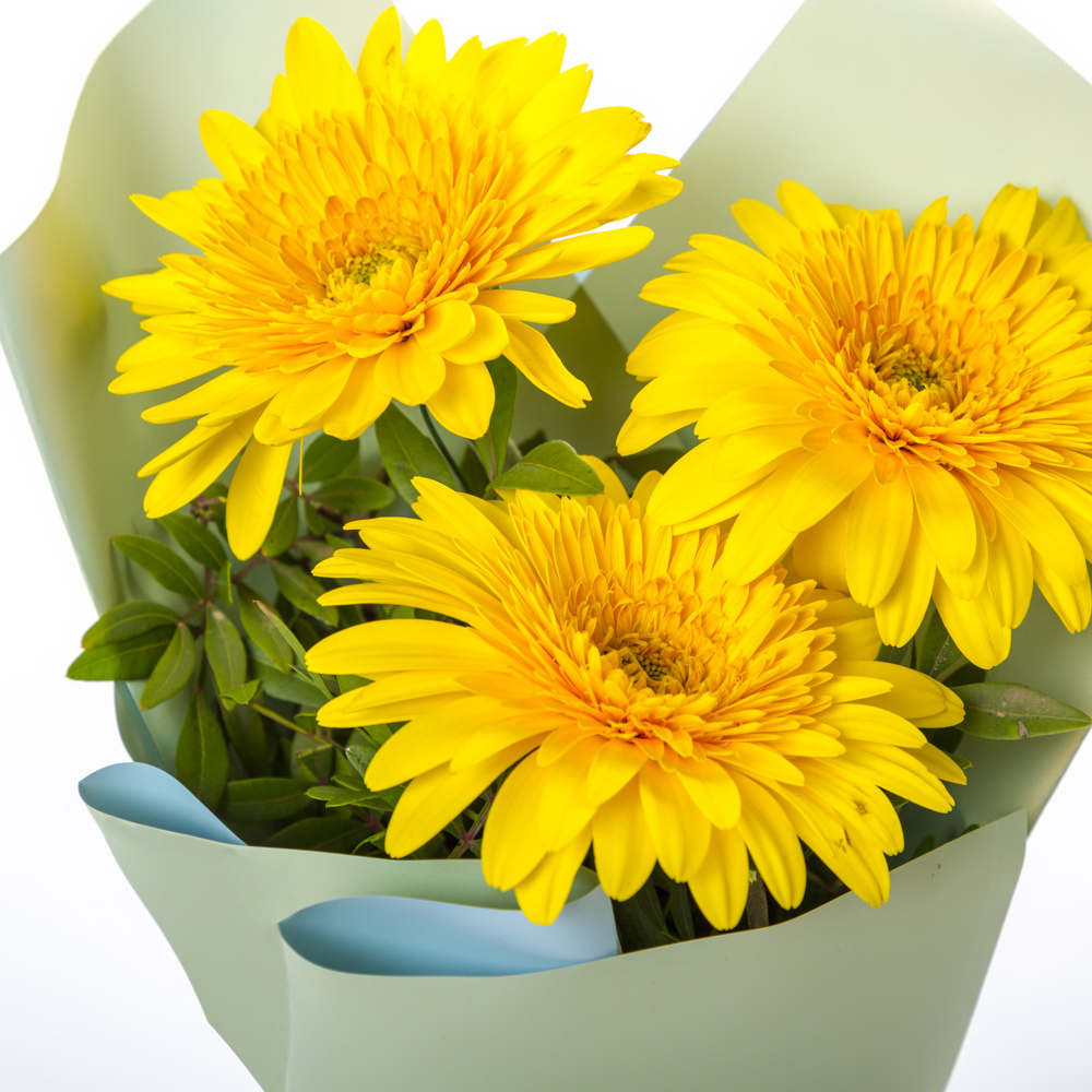 Яркий букет из 3 жёлтых гербер – частичка солнечного света Феодосия Крым