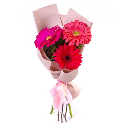 Яркий букет из 3 разноцветных гербер – маленькое чудо в ваших руках Феодосия Крым