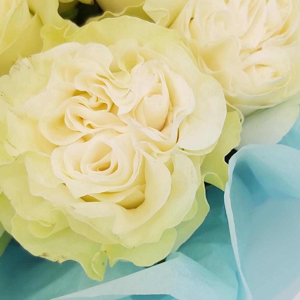 Букет «Кружевное облачко» – 11 белоснежных роз в нежной упаковке Феодосия Крым