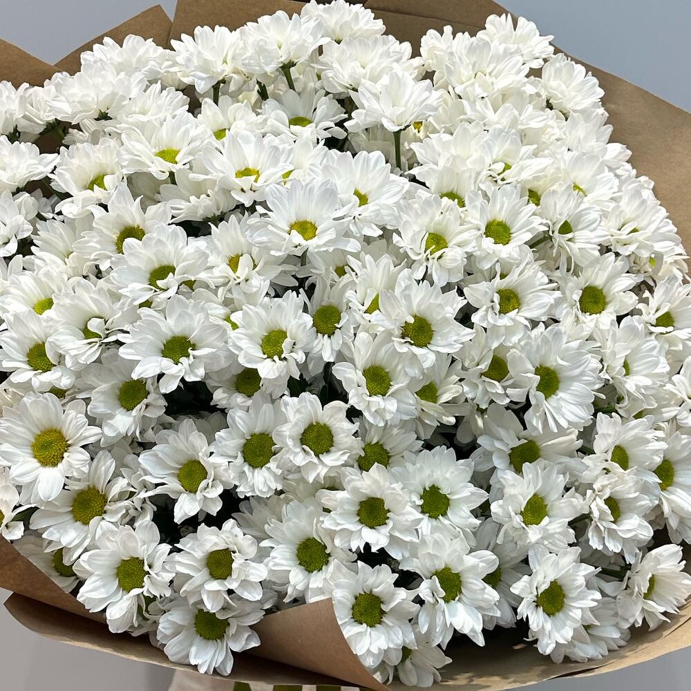 Букет «21 ромашка» – нежные белые кустовые хризантемы в натуральном стиле Феодосия Крым