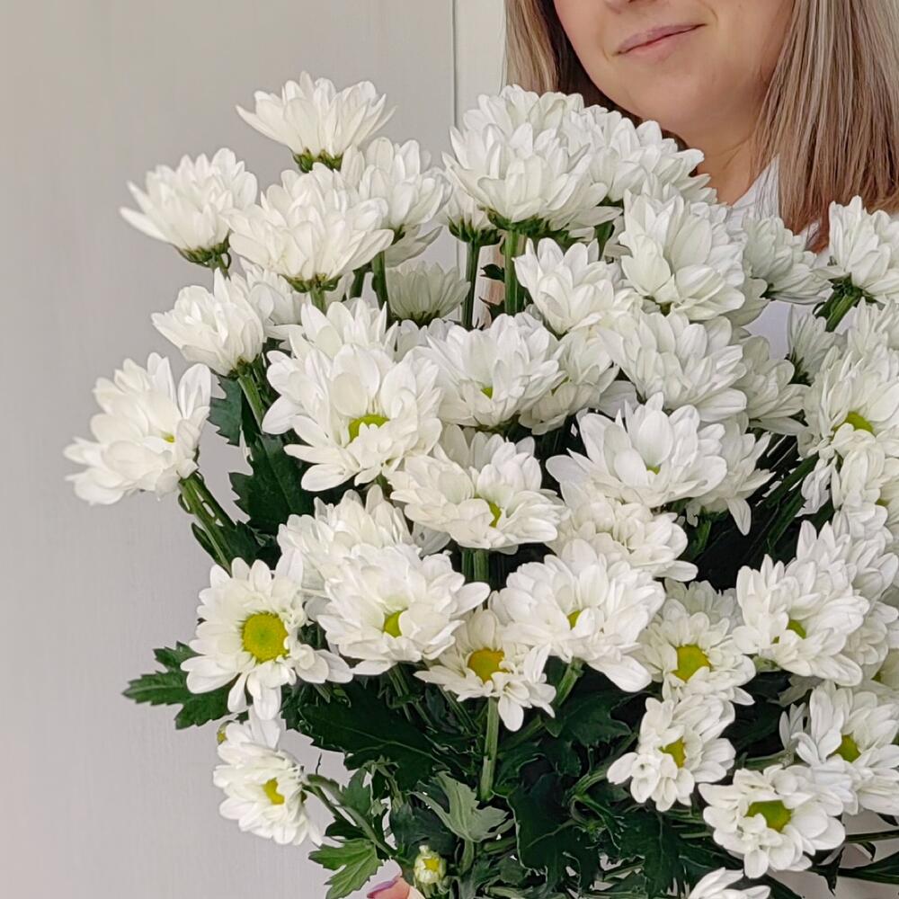 Букет «Ромашка» — свежесть белых хризантем в деревенском стиле Феодосия Крым