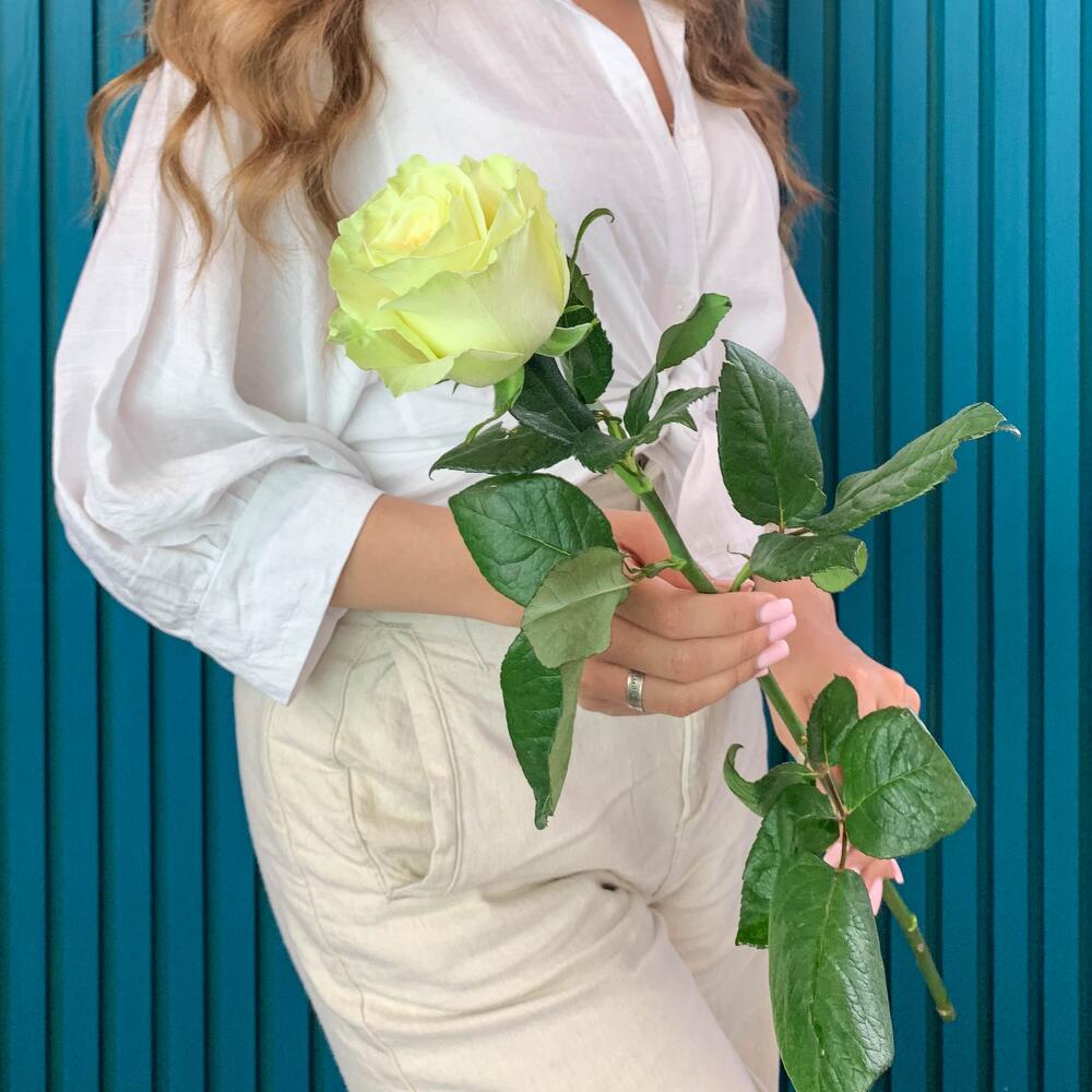 Комплимент из белой эквадорской розы – элегантность в каждом лепестке Феодосия Крым