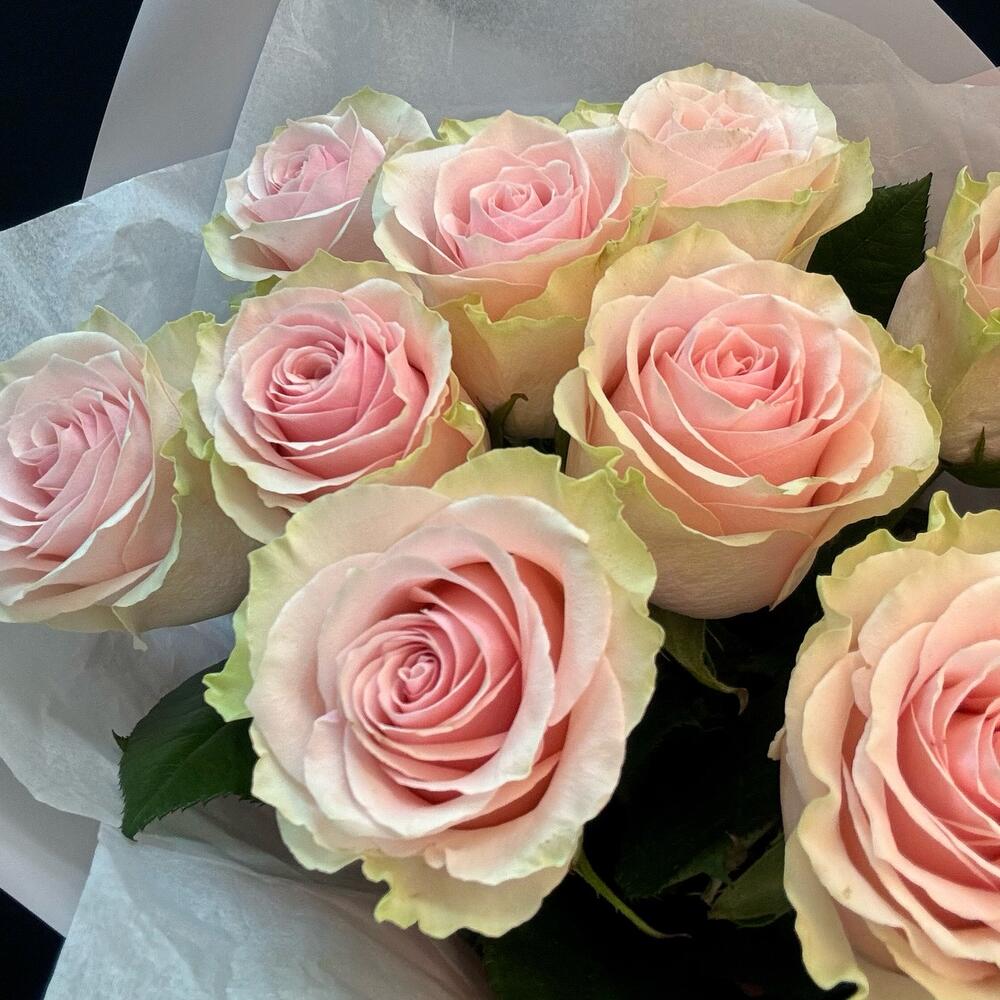 Букет из 9 розовых роз – нежность в каждом лепестке Феодосия Крым