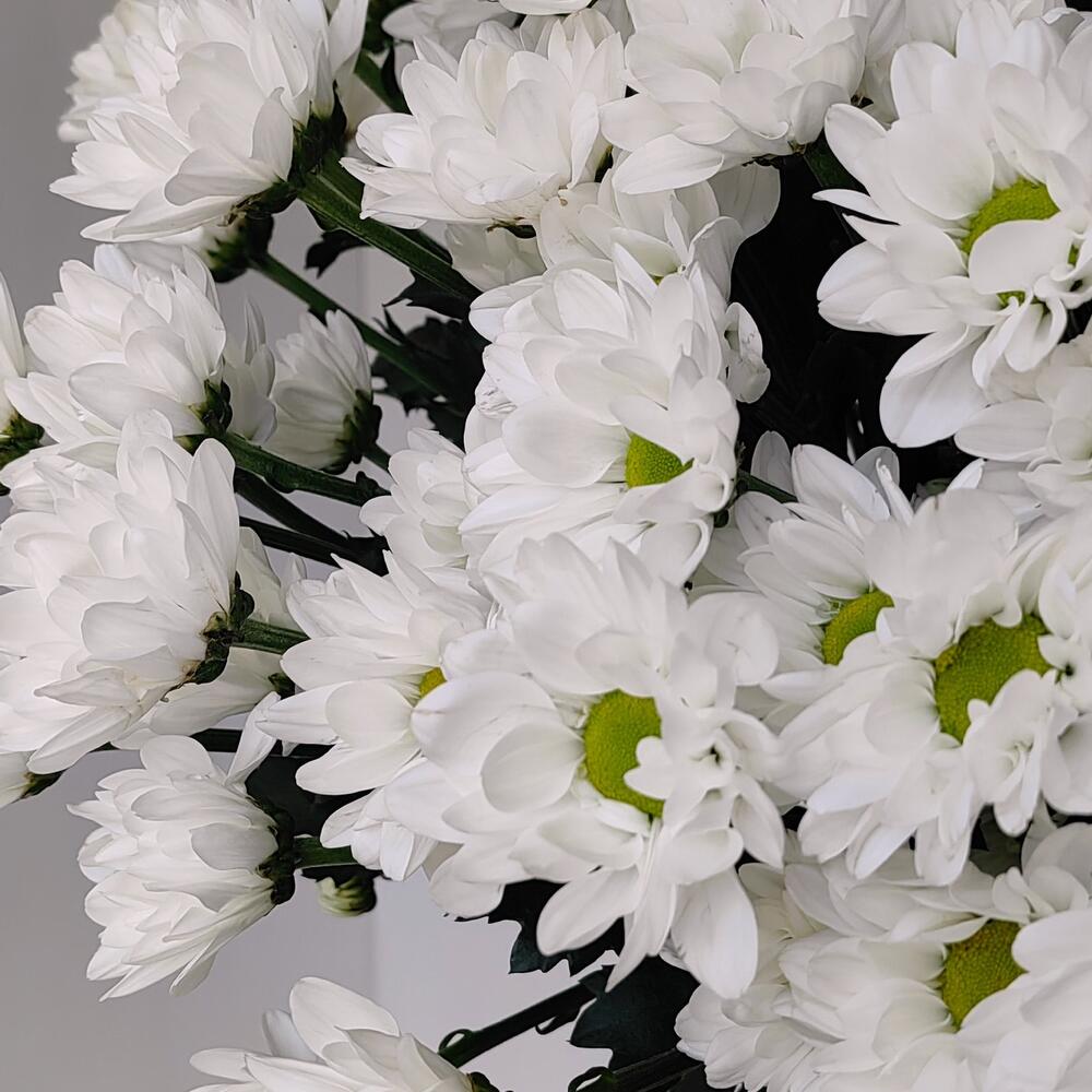 Букет «Ромашка» — свежесть белых хризантем в деревенском стиле Феодосия Крым