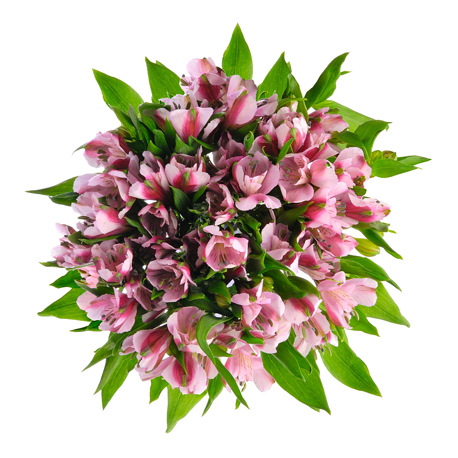 Букет «Хорошее настроение» из розовых альстромерий – солнечный подарок Феодосия Крым