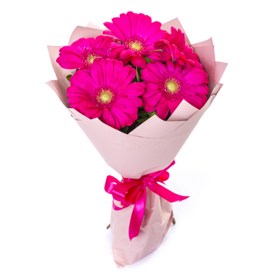 Букет из 5 малиновых гербер – сочный акцент вашего подарка Феодосия Крым