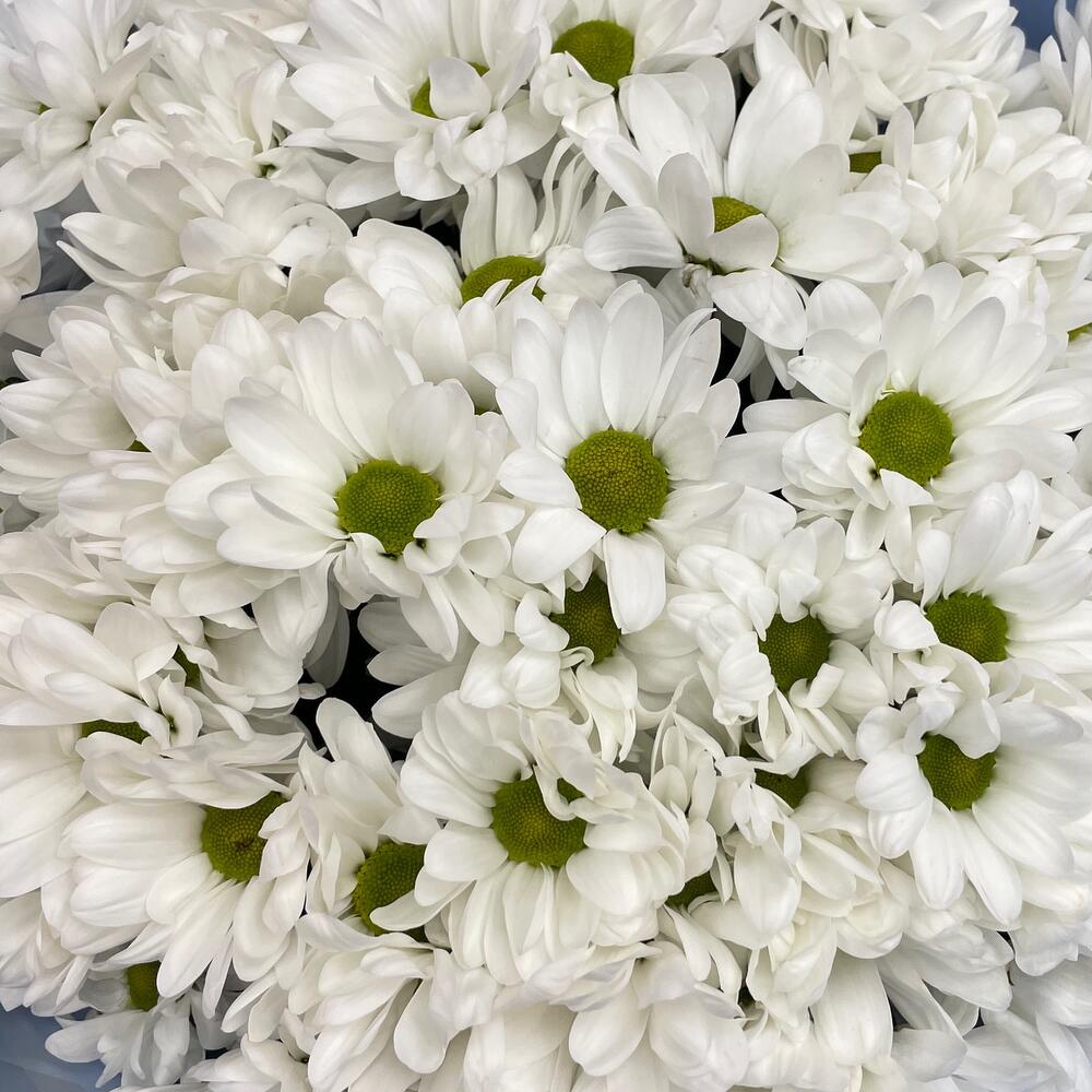 Букет «Ромашковое поле» – свежесть белых хризантем Феодосия Крым