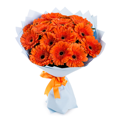 Яркий букет из 15 оранжевых гербер – как кусочек солнца в ваших руках Феодосия Крым